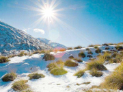 南方潛水電泵的種類有哪些？